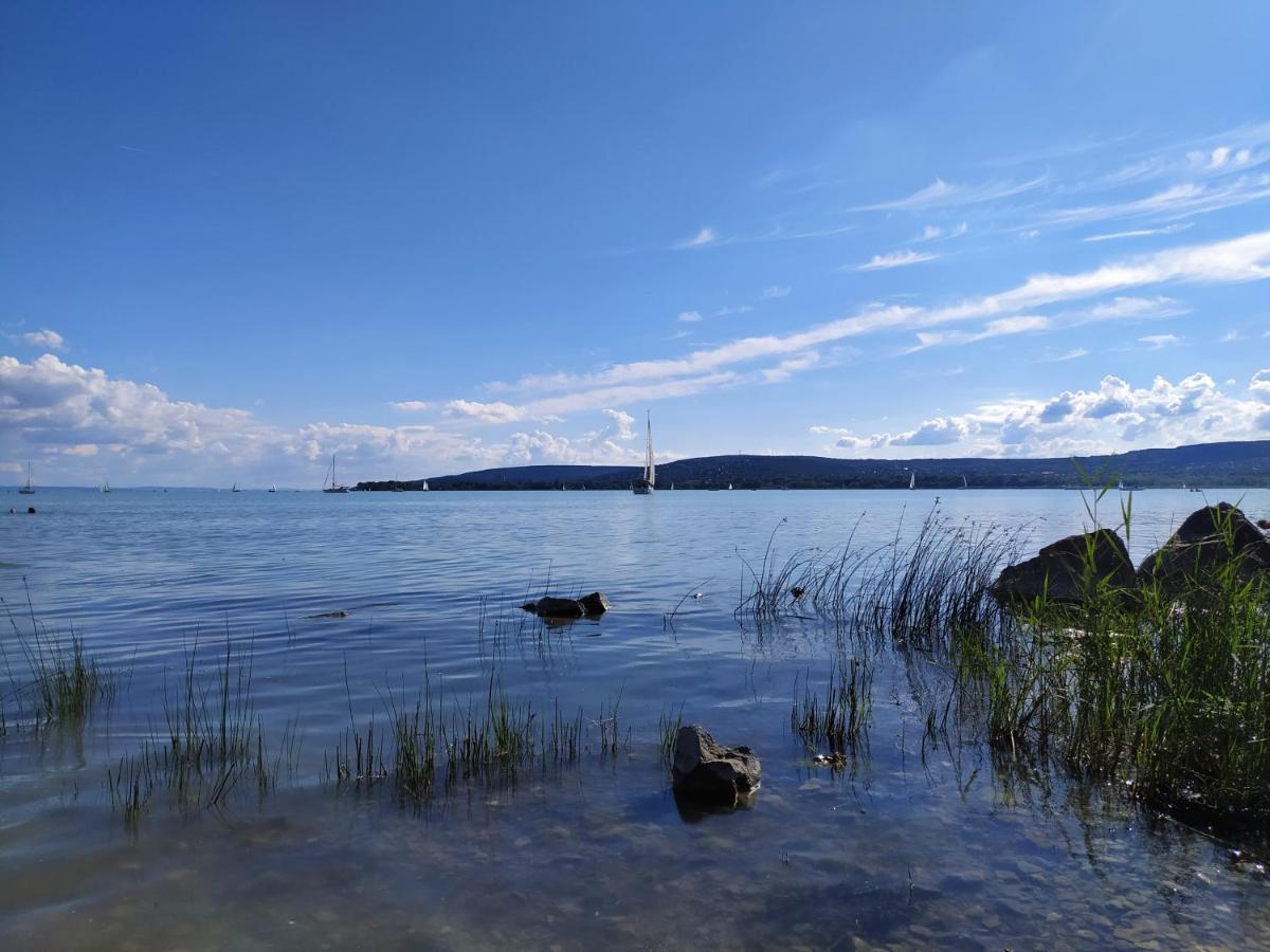 Elizabeth Vendeghaz Balatonfuzfon A Strandnal מראה חיצוני תמונה